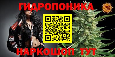 спайс Будённовск