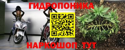 спайс Будённовск