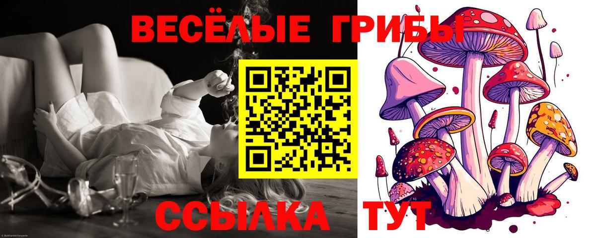 Галлюциногенные грибы Psilocybine cubensis Владикавказ