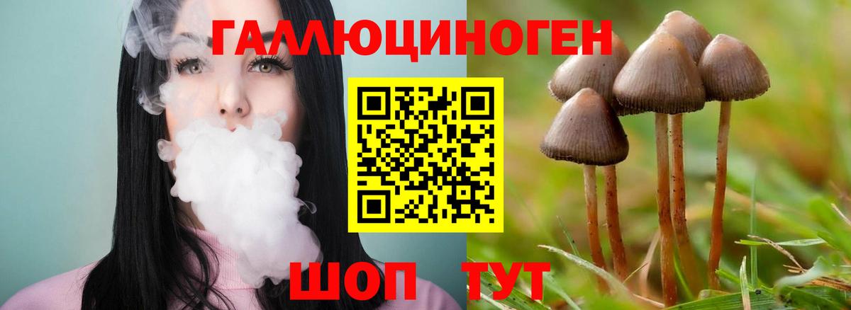 Владикавказ  Галлюциногенные грибы MAGIC MUSHROOMS  где можно купить   Вход с VPN 